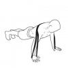 ideal_Pushups.png ideal_Pushups.png